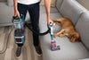 Shark LA791UKT XL Detect Pet Pro Upright Corded Vacuum - Adriatic Teal / Silver
