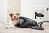 Miele CX1BLIZ_CAT_DOG Blizzard Comfort Cat & Dog Cylinder Vacuum Cleaner - Grey
