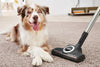 Miele CX1BLIZ_CAT_DOG Blizzard Comfort Cat & Dog Cylinder Vacuum Cleaner - Grey